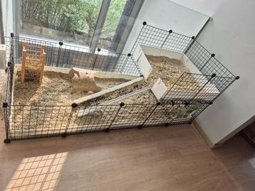 hamster kot beschikbaar voor biedingen