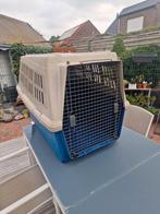 Hondebench, Dieren en Toebehoren, Ophalen, Gebruikt