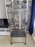 Cage pour perroquets Anna Hammerslag Gris, Perroquet