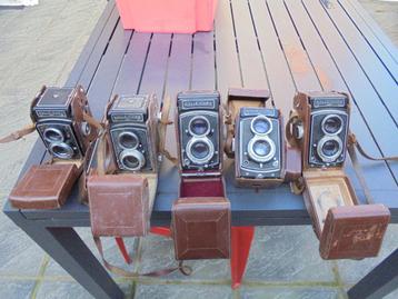 Set van 5 oude Rolleicord camera's beschikbaar voor biedingen