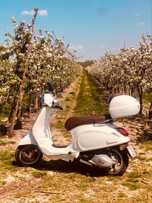 Vespa Primavera 125 cc, Fietsen en Brommers, Scooters | Vespa, Zo goed als nieuw, Overige modellen, Klasse B (45 km/u), Benzine