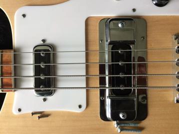 Vis pour micros de Rickenbacker 4003/4001, Musique & Instruments, Enlèvement ou Envoi, Neuf, Électrique