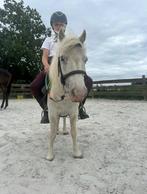 Shetland de club, Dieren en Toebehoren, Paarden en Pony's | Hoofdstellen en Tuigage, Ophalen of Verzenden