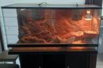 Terrarium complet + meuble, Ophalen, Gebruikt, Terrarium of Paludarium