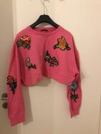 Pull Zara, Ophalen of Verzenden, Zo goed als nieuw