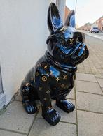 Bouledogue français avec lunettes de soleil, Animaux & Accessoires, Chiens | Bouledogues, Pinschers & Molossoïdes, Particulier