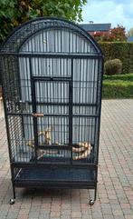 Nieuwe mooie vogelkooi. Amper gebruikt, Dieren en Toebehoren, Ophalen, Zo goed als nieuw, Vogelkooi