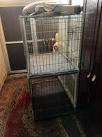 1 honden   Bens nieuwprijs 125€ nu 60€, Ophalen, 65 tot 100 cm, Hondenhok, Zo goed als nieuw