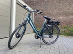 Elektrische fiets NIEUW! IN DOOS!minerva, Fietsen en Brommers, Ophalen of Verzenden