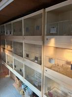 Kweekkooien, tentoonstellingskooien enz, Dieren en Toebehoren, Vogels | Hokken en Kooien, Ophalen, Gebruikt