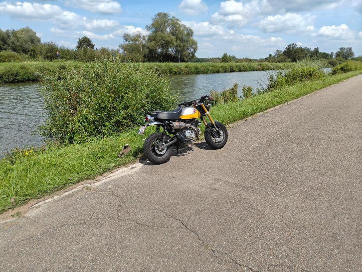 Honda Monkey 125cc, Motos, Motos | Honda, Particulier, Autre, jusqu'à 11 kW, 1 cylindre, Permis Moto A2 minimum, ABS, Échappement sport