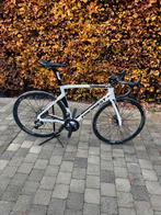 Fondriest Dardo disc DI2, Fietsen en Brommers, Gebruikt, Carbon, Meer dan 20 versnellingen, Ophalen