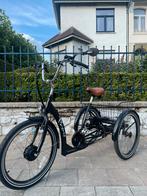 Driewieler met elektrische ondersteuning - Easy Rider Proxy, Zo goed als nieuw