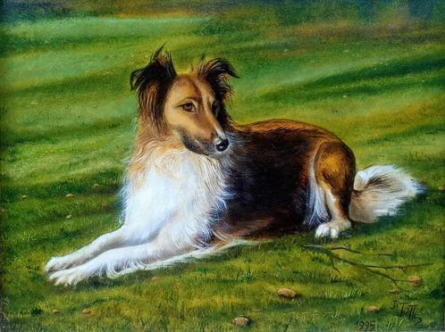 Tableau 'Lassie', signé, Antiquités & Art, Art | Peinture | Classique, Enlèvement ou Envoi