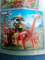 Playmobil 5231 en 5232 dinosaurussen, Kinderen en Baby's, Speelgoed | Playmobil, Gebruikt, Ophalen