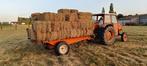 Hooi, Animaux & Accessoires, Nourriture pour Animaux, Enlèvement