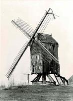Sint-Antelinks - Molen Ter Rijst, Verzamelen, Postkaarten | België, Ophalen of Verzenden, 1980 tot heden, Ongelopen, Oost-Vlaanderen