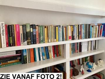 Grote partij oude & recente literatuur, romans & meer boeken