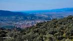 Champ d'oliviers à vendre à Izmir Selçuk Şirince 8600 m2, Immo, İzmir Selçuk şirince, Turkije, Dorp