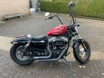 harley davidson 1200 forty eight, Particulier