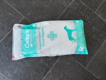 Honden eten  beschikbaar voor biedingen