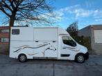occasie renault hengsten uitvoering - Verpas, Dieren en Toebehoren, Paarden en Pony's | Trailers en Aanhangwagens, Ophalen, Zo goed als nieuw