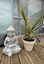 Palm plant met boeddha beeld GRATIS, Ophalen