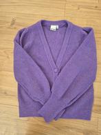 Vestje Ichi maat S, Kleding | Dames, Ophalen of Verzenden, Zo goed als nieuw, Maat 36 (S)