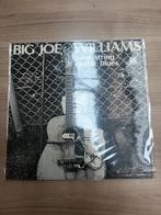 BIG JOE WILLIAMS - NINE STRING GUITAR BLUES (DELMARK UK), Ophalen of Verzenden, 1960 tot 1980, Gebruikt, Blues