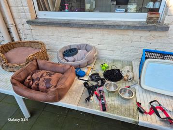 Voor hond beschikbaar voor biedingen