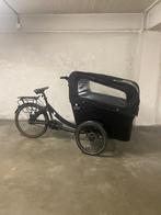 Triobike Boxter Cargo 4 kids 2019, 4 kinderen of meer, Gebruikt, Elektrisch, Ophalen