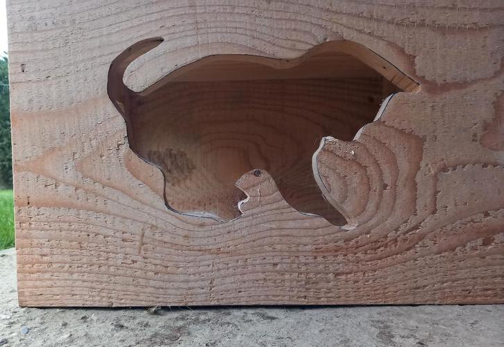 Katten huisjes in massief hout, Dieren en Toebehoren, Katten-accessoires, Nieuw, Ophalen of Verzenden