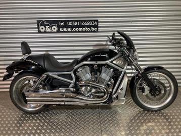 H-D V-Rod 1250 + 1 an garantie + entretien GRATUIT!