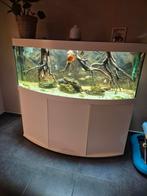 Juwel vision 450 led, Dieren en Toebehoren, Vissen | Aquaria en Toebehoren, Ophalen