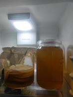 Kombucha en /of zwam., Enlèvement