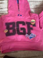 Hoodie, Kinderen en Baby's, Kinderkleding | Overige, Ophalen, Zo goed als nieuw