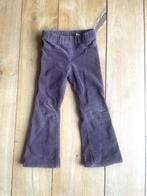 Geribde broek aubergine maat 104, Broek, Gebruikt, Meisje, Ophalen of Verzenden