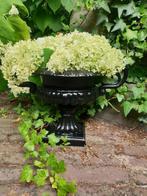 landelijke bloempot , bloemvaas , aanbieding, Ophalen of Verzenden, Nieuw, Tuin