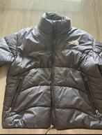 North Face jas, Vêtements | Hommes, Vestes | Hiver, North Face jas, Enlèvement ou Envoi, Porté, Taille 48/50 (M)