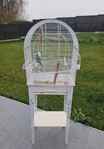 Cage + pied, Animaux & Accessoires, Enlèvement ou Envoi