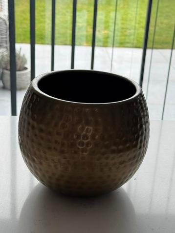 Gouden bloempot beschikbaar voor biedingen