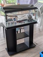 Aquarium met kast en toebehoren, Ophalen, Zo goed als nieuw