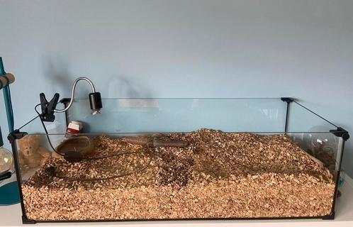 TERRARIUM GLAS + WARMTELAMP, Dieren en Toebehoren, Reptielen en Amfibieën | Toebehoren, Zo goed als nieuw, Ophalen