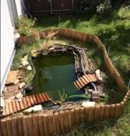 Cherche espace pour tortues aquatiques, Ophalen, Gebruikt, Terrarium of Paludarium