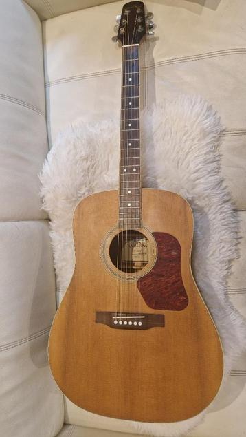 Guitare Folk Walden, Musique & Instruments, Enlèvement, Utilisé, Guitare Western ou Guitare Folk