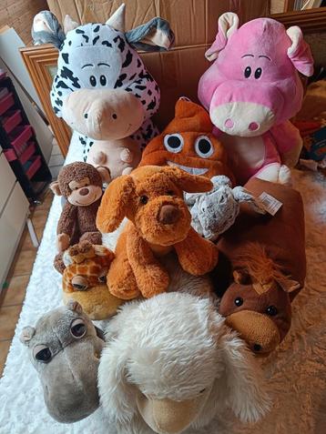 Knuffels beschikbaar voor biedingen