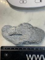 Stuk grijze micachist, zeldzame brokkelige rots 55 g, Ophalen of Verzenden, Mineraal