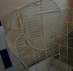 Grande cage oiseaux, Enlèvement, Comme neuf