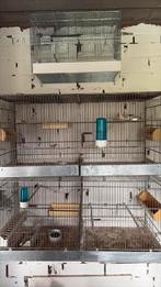 Kweekkooien, Dieren en Toebehoren, Vogels | Hokken en Kooien, Ophalen