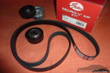 Multiriemset Citroen Peugeot Fiat Lancia 2,0 HDI 2,0JTD Nieu, Auto-onderdelen, Ophalen of Verzenden, Nieuw, Citroën